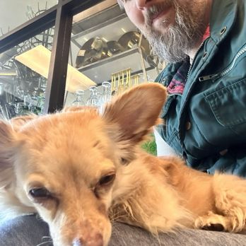 Mocha Magic Cafe and Bake Shop - Friendly to folks who have dogs. - Coffee & Tea Near Me - Modesto, California