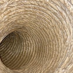 Zebra phoenix air duct cleaning