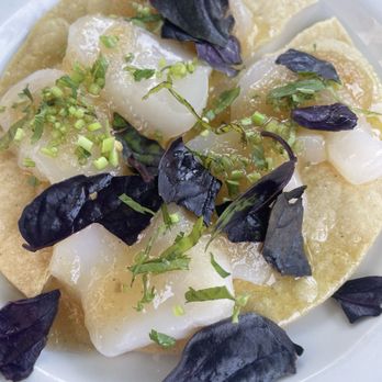Found Oyster - Must order: scallop toastada - Seafood Near Me - Los Angeles, California