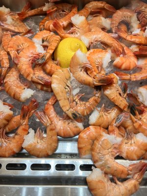 Boston & Maine Fish Co by null