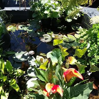 Scott Valley Feed - Nurseries & Gardening Near Me - Yreka, California