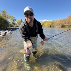 ArkAnglers - Brown Trout!