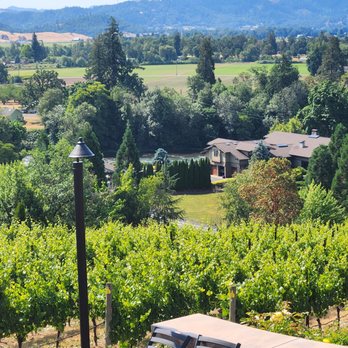 Cooper Ridge Vineyard - Another part of the view - Wineries Near Me - Roseburg, Oregon Cooper Ridge Vineyard - Another part of the view - Wineries Near Me - Roseburg, Oregon