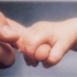 WisdomPath Parenting - Fostering Security and Attachment