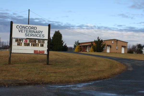 concord veterinary