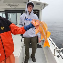 Reel Steel Sportfishing