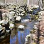 Photo of Canonchet Brook Preserve