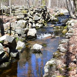 Canonchet Brook Preserve - Foster Sawmill Ruins