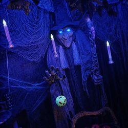Appalachian Oddities - Crone Eartha inside The Odd Lands attraction