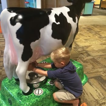McWane Science Center - Museums Near Me - Birmingham, Alabama McWane Science Center - Museums Near Me - Birmingham, Alabama