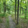 Photo of Hopeland Trails