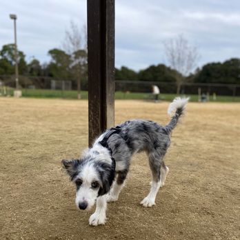 Cipriani Dog Park - Dog Parks Near Me - Belmont, California Cipriani Dog Park - Dog Parks Near Me - Belmont, California
