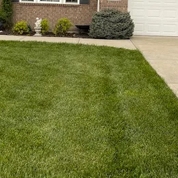 TruGreen Lawn Care - TruGreen helps tackle unwanted lawn weeds with weed control in Greenwood, IN, Franklin, and South Indianapolis.