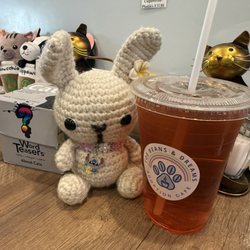 Toe Beans And Dreams Adoption Cafe