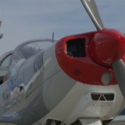 Air Combat USA - Marchetti SF-260 from Head Quarters at  Long Beach, CA