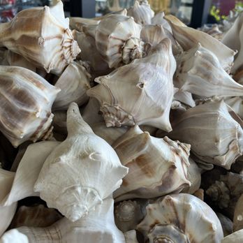 The Nut House - Farmers Market Near Me - Saint Augustine, Florida