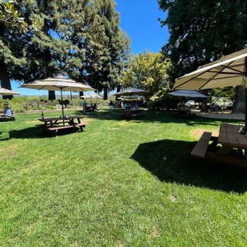Dry Creek Vineyard - Outside tasting seating - Wineries Near Me - Healdsburg, California Dry Creek Vineyard - Outside tasting seating - Wineries Near Me - Healdsburg, California