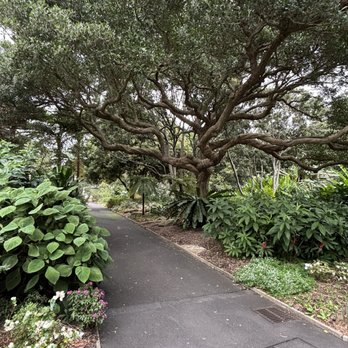 Royal Botanic Gardens - Botanical Gardens Near Me - Sydney, NSW Royal Botanic Gardens - Botanical Gardens Near Me - Sydney, NSW