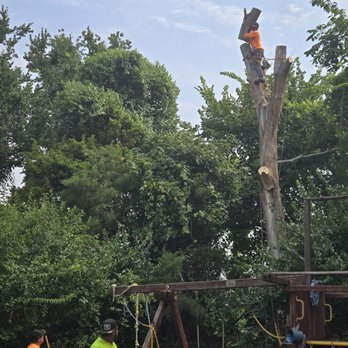 Tios Tree Service - Tree Services Near Me Tios Tree Service - Tree Services Near Me