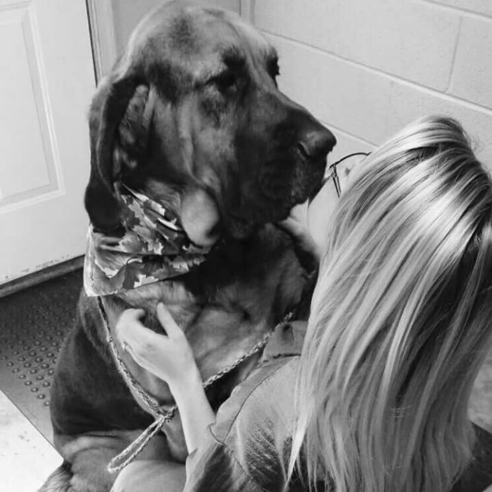 K9 HEAVEN DOG GROOMING SELF SERVICE WASH & DOGGIE DAYCARE Updated September 2024 2210 W