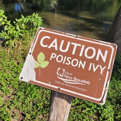 Cypress Bend Park - Caution!