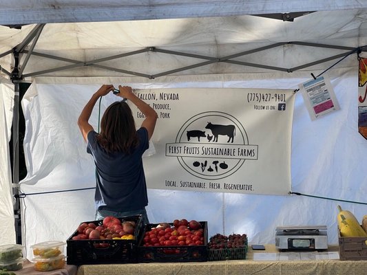 Tamarack Junction Farmers Market by null