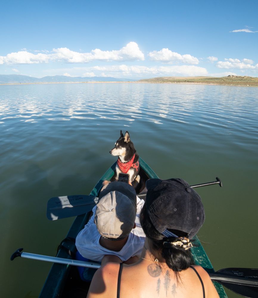 Green Adventure Sport Rentals Logo