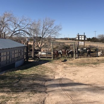 Palo Duro Riding Stables - Arrival - Horseback Riding Near Me - Canyon, Texas Palo Duro Riding Stables - Arrival - Horseback Riding Near Me - Canyon, Texas