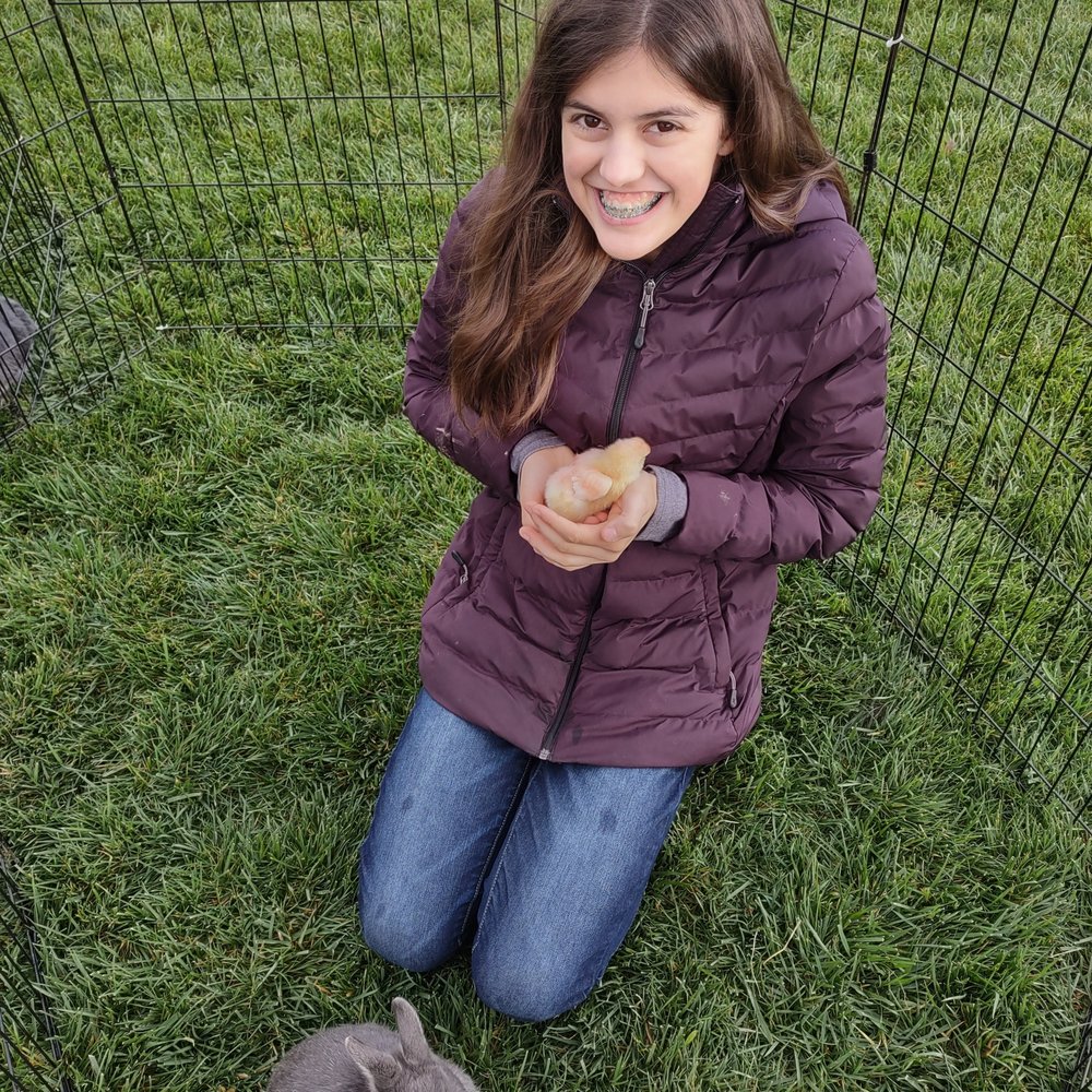 Back-to-Eden Ranch - Attraction Farms Near Me - Gilroy, California
