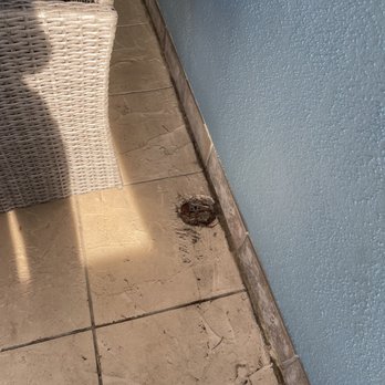 RealJoy Vacations - Dirt, roaches - Vacation Rentals Near Me - Destin, Florida