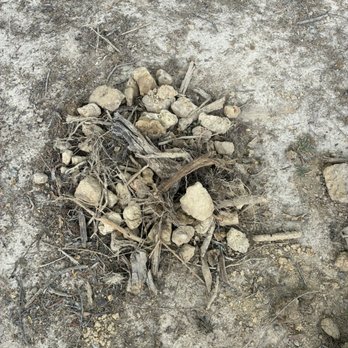 Bama Dirt - Small portion of all the crap I found in my 20 yds of "top soil" - Building Supplies Near Me - Florence, Alabama Bama Dirt - Small portion of all the crap I found in my 20 yds of "top soil" - Building Supplies Near Me - Florence, Alabama