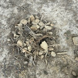 Bama Dirt - Small portion of all the crap I found in my 20 yds of "top soil"