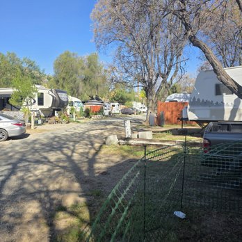 Palm View Rv Park & Campground - A true view of Palmview - RV Parks Near Me - Perris, California Palm View Rv Park & Campground - A true view of Palmview - RV Parks Near Me - Perris, California