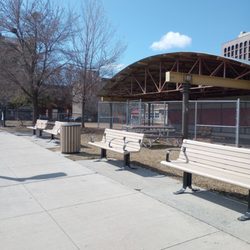 Jack Purcell Dog Park