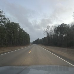 Conecuh National Forest