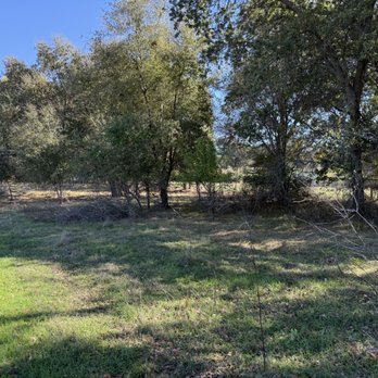 The Goat Grazing Co - Finished - Landscaping Near Me - Penryn, California