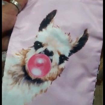 Hawthorne Country Store - A funny Llama blowing gum lil bag - Pet Stores Near Me - Escondido, California Hawthorne Country Store - A funny Llama blowing gum lil bag - Pet Stores Near Me - Escondido, California