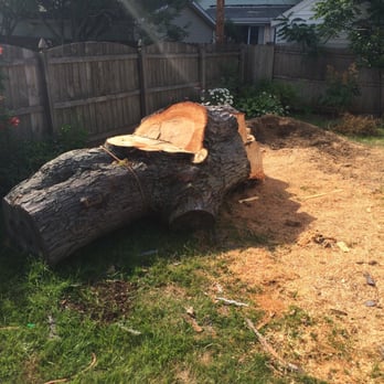 Pauleys Tree Service - Tree Services Near Me