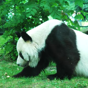 Tierpark Berlin - Zoos Near Me - Berlin, BE