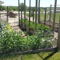 The Cheesemaker's Inn Bed & Breakfast - Vegtable garden and surroundings