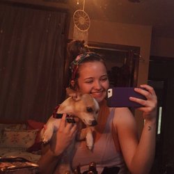 Animal Shelter