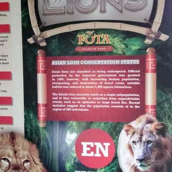 Fota Wildlife Park - More info on the Asiatic lion exhibit - conservation status. - Parks Near Me - Fota, Colorado