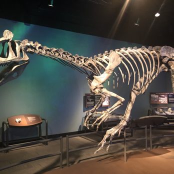 Field Museum - Museums Near Me - Chicago, Illinois