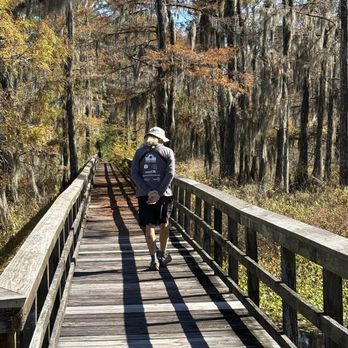 Dungannon Heritage Preserve - Boardwalk to wood stork rookery - Hiking Near Me - Hollywood, South Carolina Dungannon Heritage Preserve - Boardwalk to wood stork rookery - Hiking Near Me - Hollywood, South Carolina