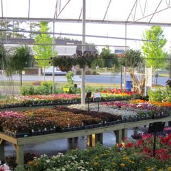 Pike Nurseries