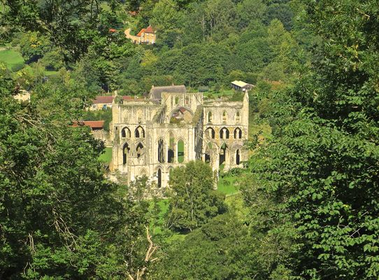 Rievaulx Abbey by null