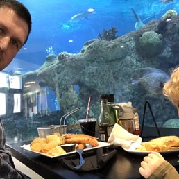 Great view of the big fish.