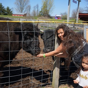 Davis Farmland - Mooo! cough, cough, I mean MORE!! - Amusement Parks Near Me - Sterling, Massachusetts Davis Farmland - Mooo! cough, cough, I mean MORE!! - Amusement Parks Near Me - Sterling, Massachusetts