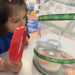 Laura Vicuña Pre-Kindergarten