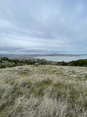 Ring Mountain Preserve by null